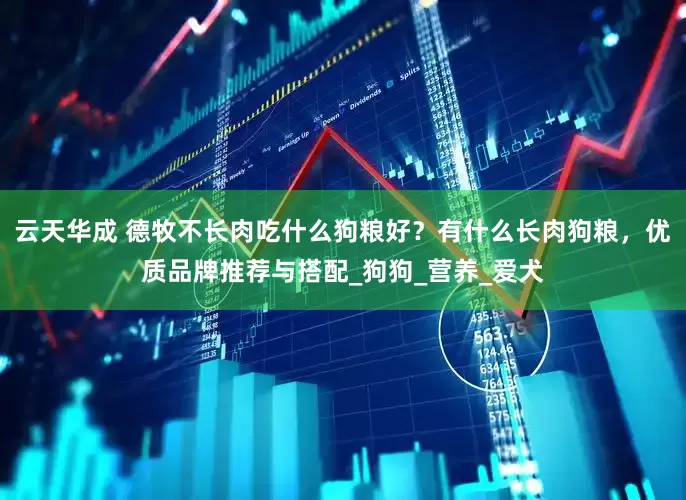云天华成 德牧不长肉吃什么狗粮好？有什么长肉狗粮，优质品牌推荐与搭配_狗狗_营养_爱犬