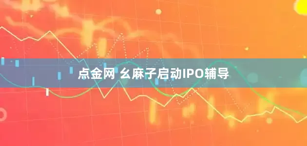 点金网 幺麻子启动IPO辅导